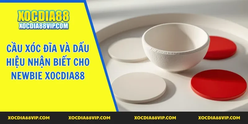 cau xoc dia