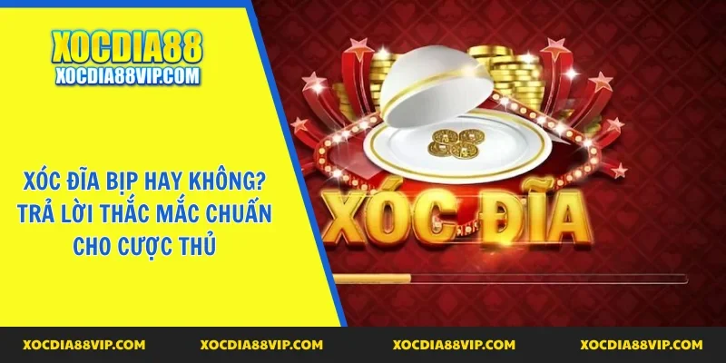 xoc dia bip hay khong avt